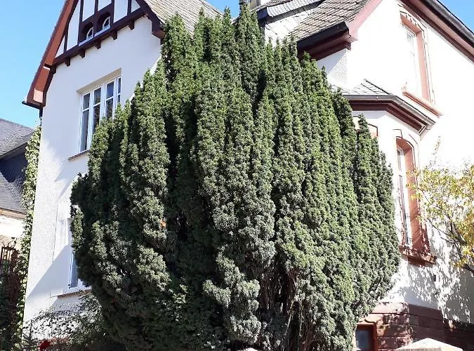 Appartement Bismarckstrasse 8 *